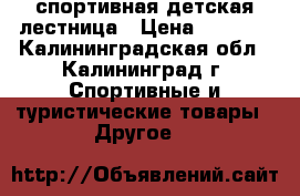 спортивная детская лестница › Цена ­ 3 500 - Калининградская обл., Калининград г. Спортивные и туристические товары » Другое   